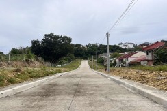 LOTS FOR SALE IN CASILI GROVE - Brgy. Casili, Mandaue
